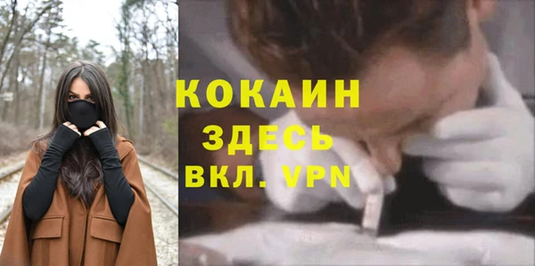 spice Абаза