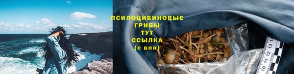 таблы Приозерск