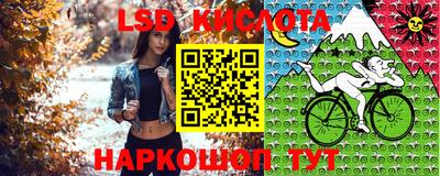 СК Краснокаменск