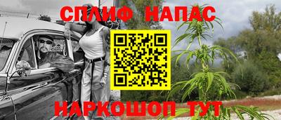 хмурый Краснодар