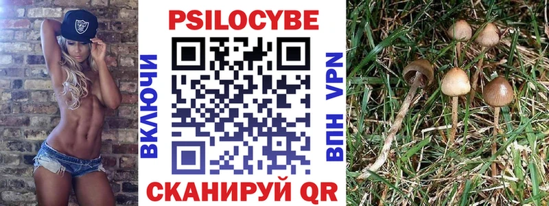 Псилоцибиновые грибы прущие грибы Заволжье